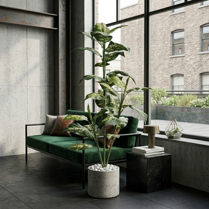 Evergreen Plant with Decorative White Pot – Realistic Indoor Luxury Tree