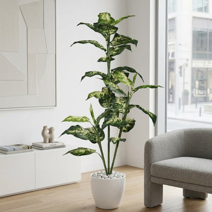 Evergreen Plant with Decorative White Pot – Realistic Indoor Luxury Tree
