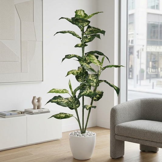Evergreen Plant with Decorative White Pot – Realistic Indoor Luxury Tree