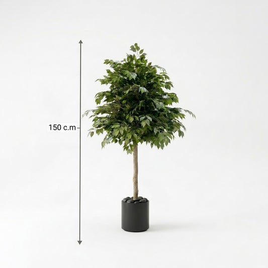 150cm Large Artificial Ficus Tree in Minimalist Black Pot